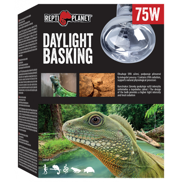 Repti Planet Heating Lamp