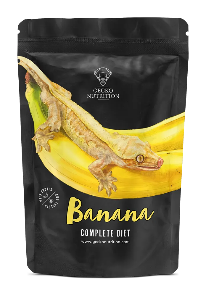 [GNB50] Gecko nutrition complete diet (50g, banana)