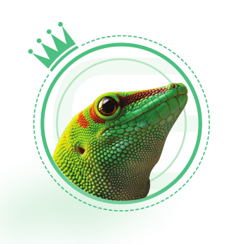 herpeton